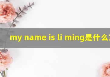 my name is li ming是什么意思